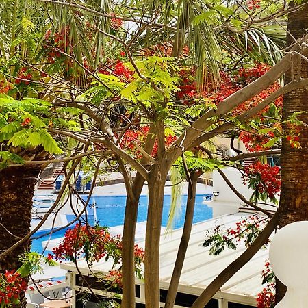 Castle Harbour Melanie'S Apartment By Lovetenerife Los Cristianos  Ngoại thất bức ảnh